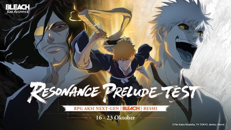 BLEACH: Soul Resonance